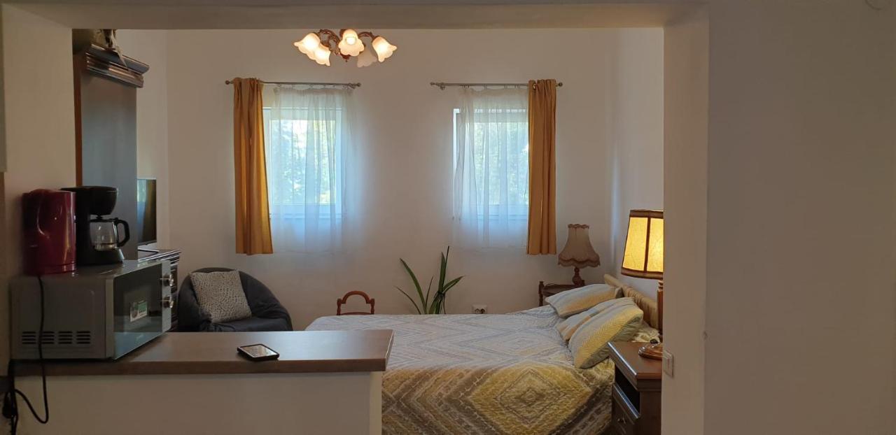 Cozy Home In The Heart Of Cluj-Napoca Eksteriør billede