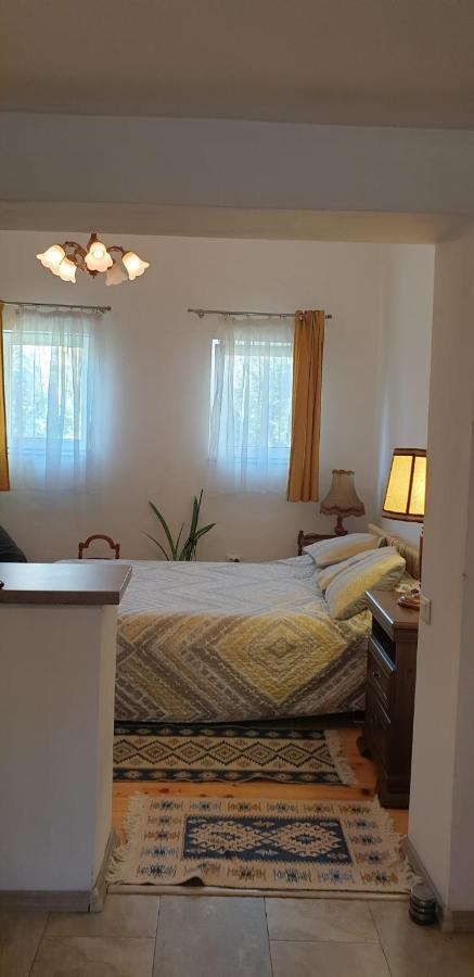 Cozy Home In The Heart Of Cluj-Napoca Eksteriør billede