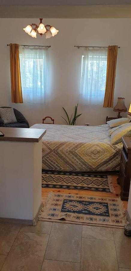 Cozy Home In The Heart Of Cluj-Napoca Eksteriør billede