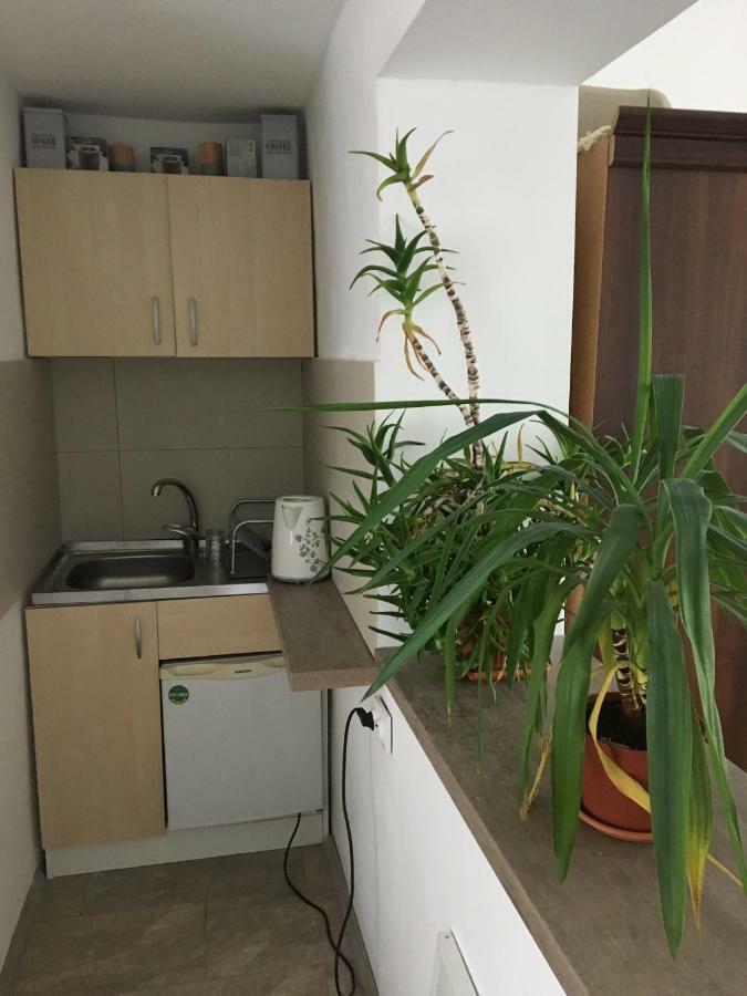 Cozy Home In The Heart Of Cluj-Napoca Eksteriør billede